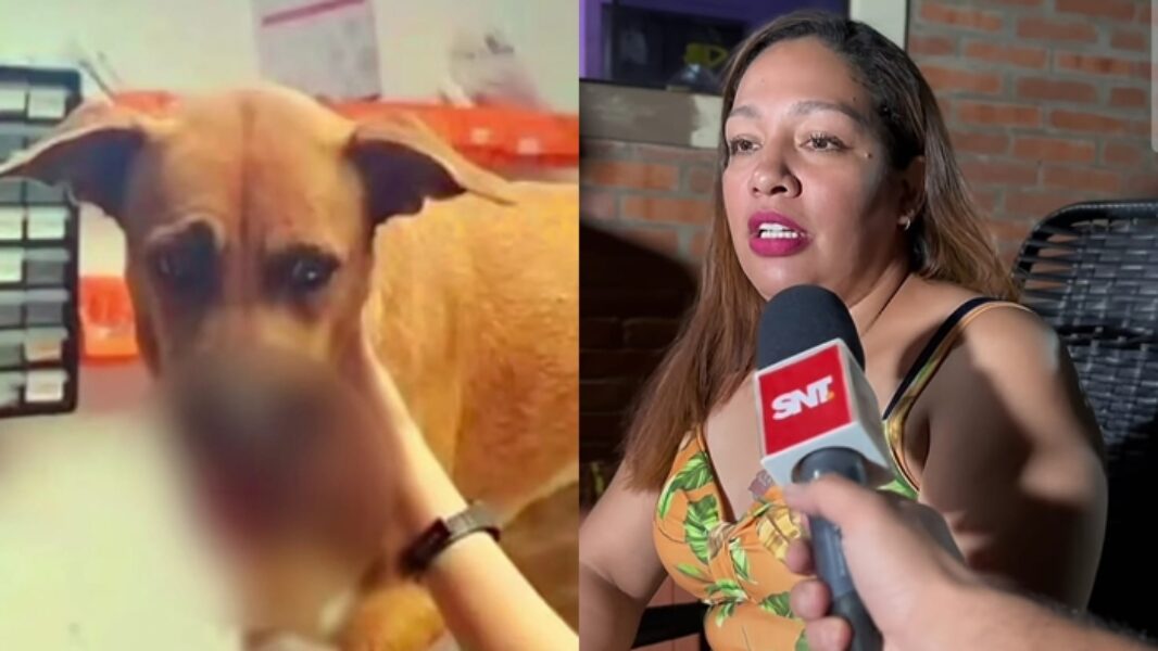 canelalaperrita