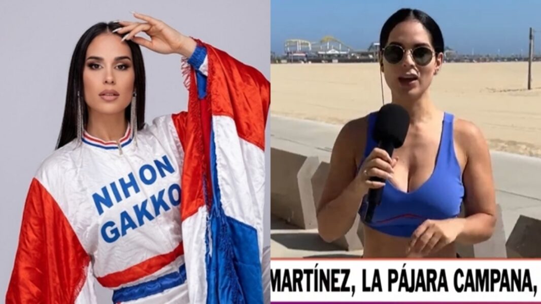 fabimartinezpajarocampanakaosss