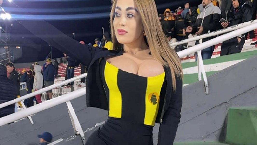 marisololmedomodeloguarani